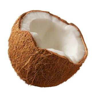 40709058_Coconut